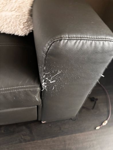 sofa bed and sofa