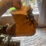 ugg boots Image 5
