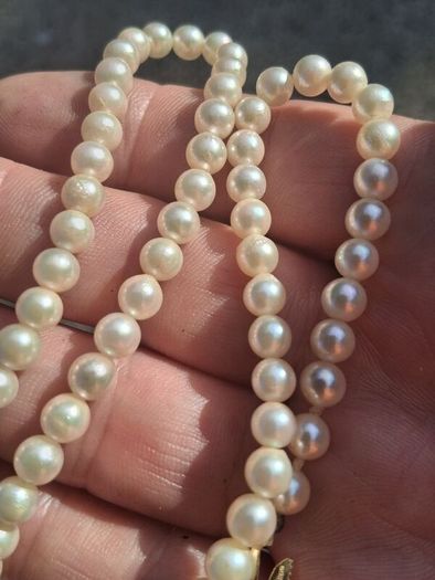 9k Gold Freshwater Pearl Necklace