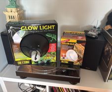 Light for reptile tank with bulb