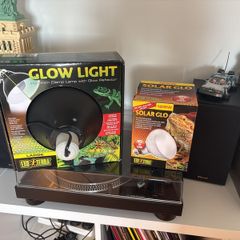 Light for reptile tank with bulb