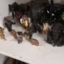 Elephant collection Image 2