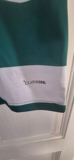 celtic home jersey