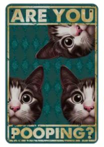 Are You Pooping? Cats Triple : Metal Sign