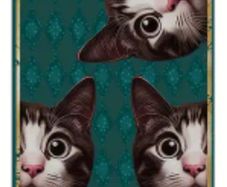 Are You Pooping? Cats Triple : Metal Sign