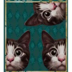 Are You Pooping? Cats Triple : Metal Sign