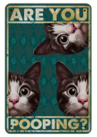 Are You Pooping? Cats Triple : Metal Sign