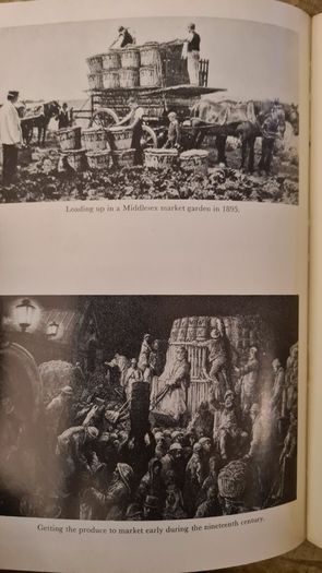 The Early Horticulturists. By Ronald Webber. Printed By David & Charles Newton Abbot. Vintage 1968 Hardback In Good Condition.