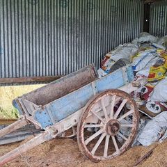 Donkeys Cart