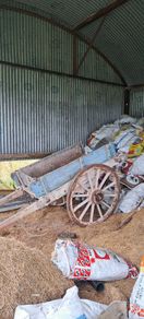Donkeys Cart
