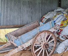Donkeys Cart
