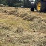 Haylage Image 3