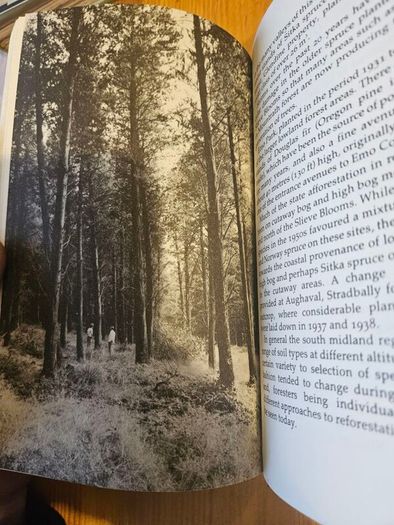 The Forests Of Ireland. History,distribution And Silviculture. Edited By The Royal Society Of Irish Foresters By Niall O'connor. First Edition Paperback In Good Condition   See Photos For Same.