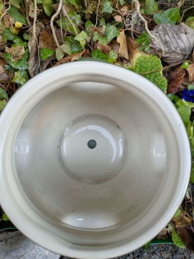 ceramic herb pot pot