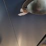 Atlanta high rise sleeper Bed Image 5