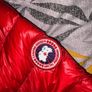 canada goose hybrid Image 2