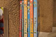 books - investigators kids books