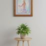 Woven Silk - Pastel Painting Image 3