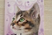 Animal Magic - Catmagic