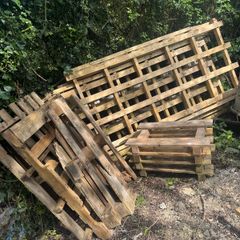 Free Wooden Pallets - Ideal for Firewood