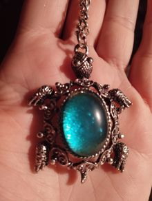Turtle Pendant on Chain.
