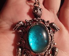 Turtle Pendant on Chain.