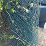dog run Image 2