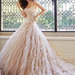Sophia Tolli Marlene Mocha Wedding Dress