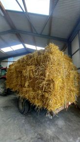 Organic Straw Small Squares