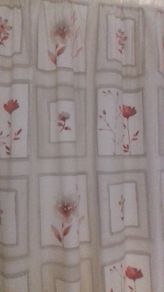 Curtain