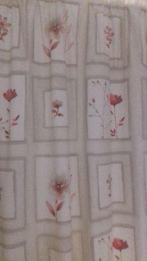 Curtain