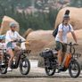 LANKELEISI Wombat-1 Cargo Electric Bike Image 2