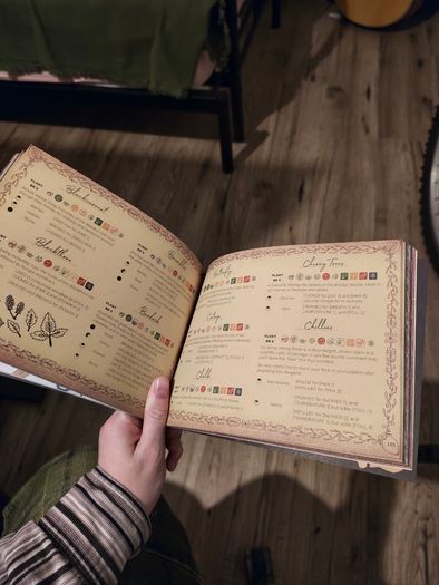 Apawthecaria TTRPG Book