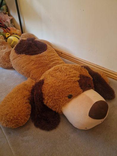 Large Dog Teddy