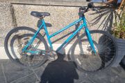 bike needs fixing