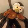 Dublin zoo soft toy Image 3
