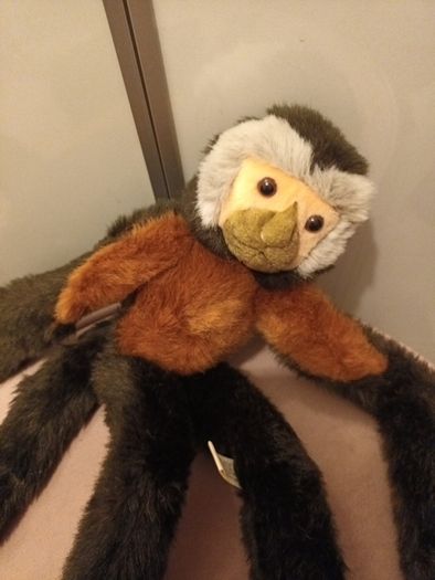 Dublin zoo soft toy
