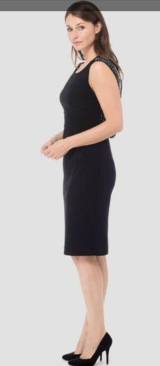 Joseph Ribkoff dress