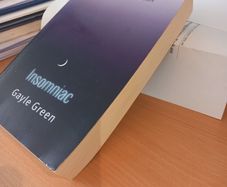 Insomniac - Gayle Greene (Paperback)
