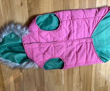 dog jacket