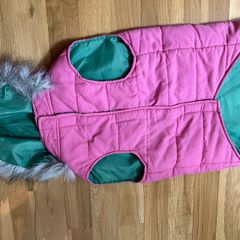 dog jacket