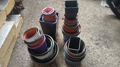 Assorted plastic plant pots