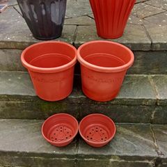 Pot
