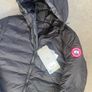 canada goose Image 5