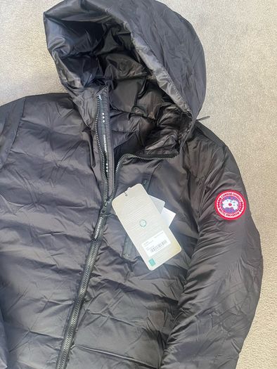 canada goose