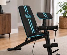 Foldable Weight Bench, Adjustable Strength Training Sit Up Ab Bench, Incline/Decline