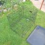 Dog Cage Image 2