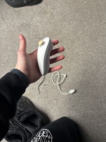 nintendo wii controller/nunchuck