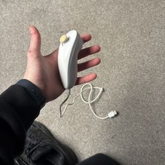 nintendo wii controller/nunchuck
