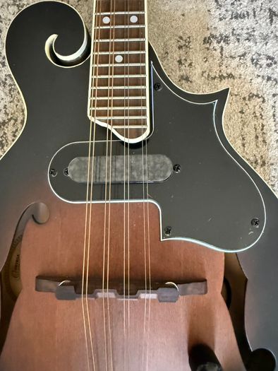 Ortega Mandolin Electric as new